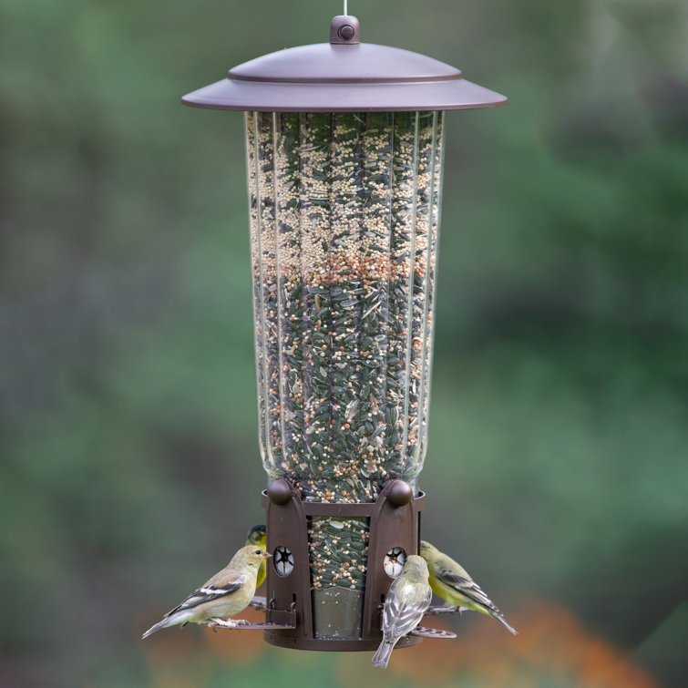 Winston Porter Lowesville SquirrelBeGone Max Hopper Bird Feeder